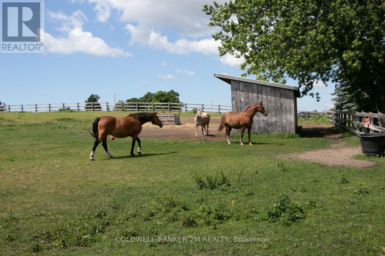 5728 Gilmore Road, Clarington, Ontario  L0A 1J0 - Photo 43 - E12956162