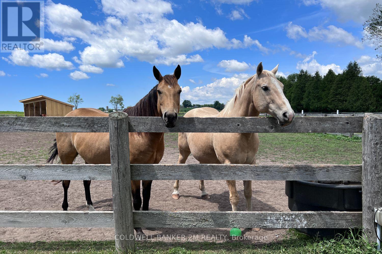 5728 Gilmore Road, Clarington, Ontario  L0A 1J0 - Photo 48 - E12956164