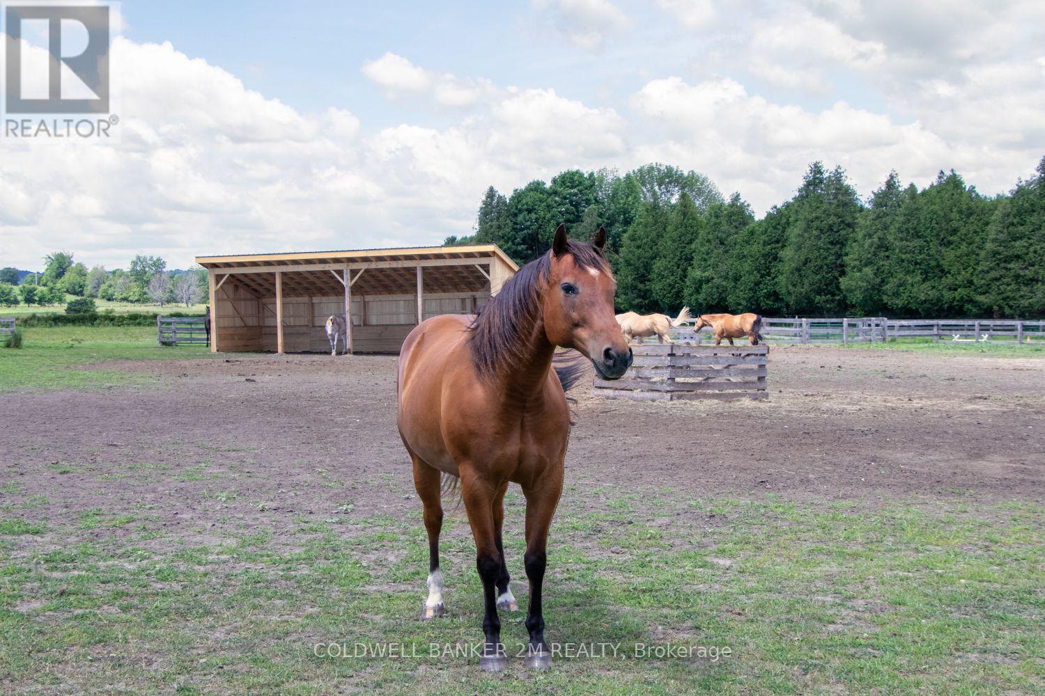 5728 Gilmore Road, Clarington, Ontario  L0A 1J0 - Photo 5 - E12956164