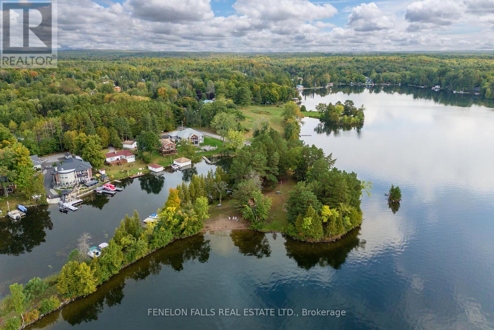 138 Alpine Lake Road, Trent Lakes, Ontario  K0M 1A0 - Photo 41 - X12956160