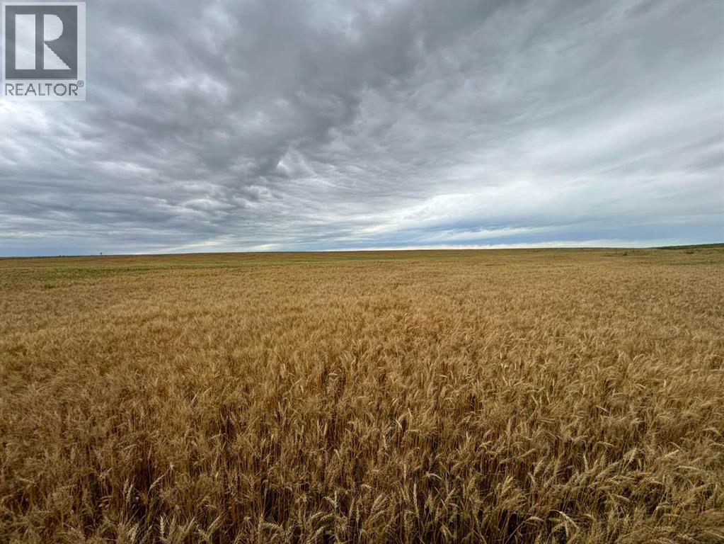 NE 15 31 27 W4, Rural Mountain View County, Alberta  T0M 1X0 - Photo 6 - A2250178