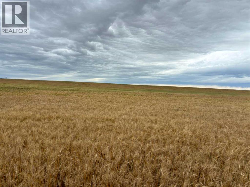NE 15 31 27 W4, Rural Mountain View County, Alberta  T0M 1X0 - Photo 13 - A2250178