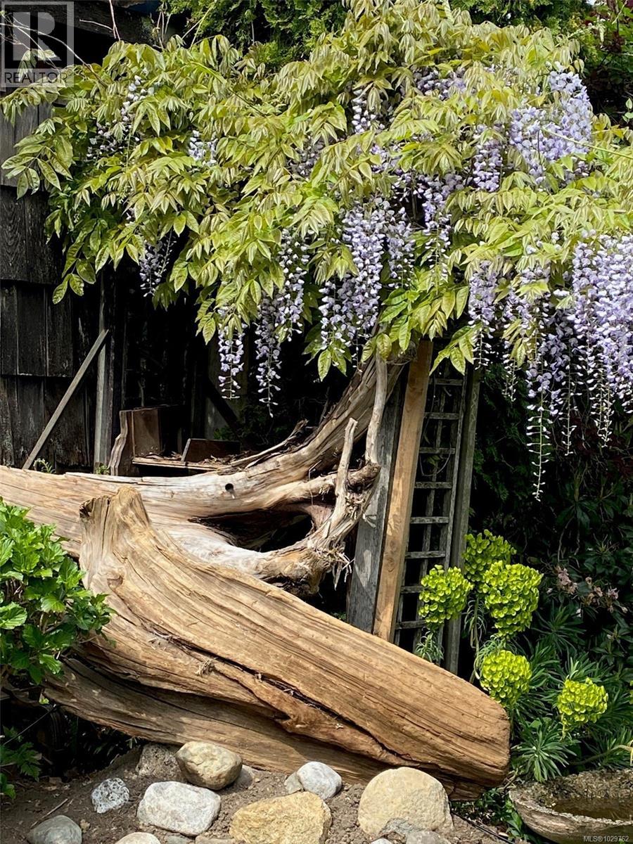 25 White St, Ladysmith, British Columbia  V9G 1B3 - Photo 53 - 1029762