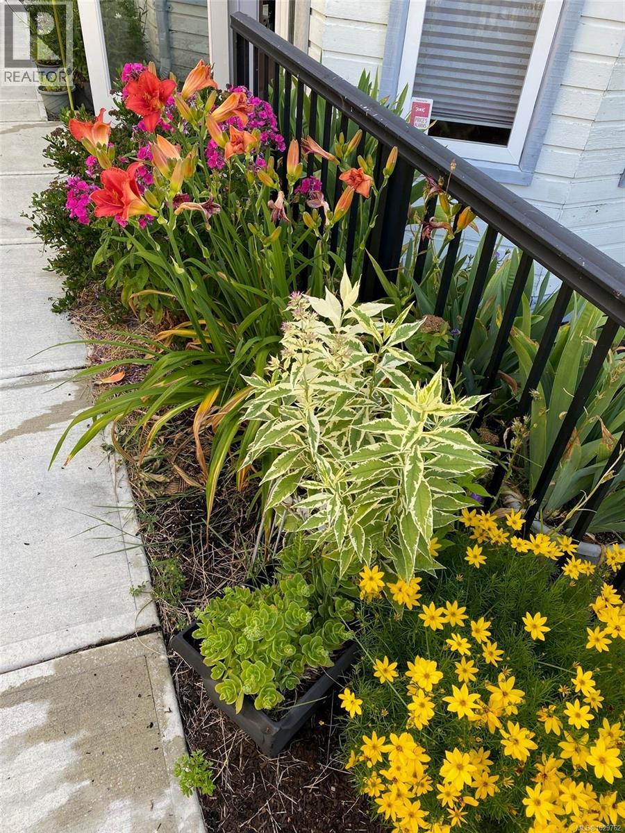 25 White St, Ladysmith, British Columbia  V9G 1B3 - Photo 50 - 1029762