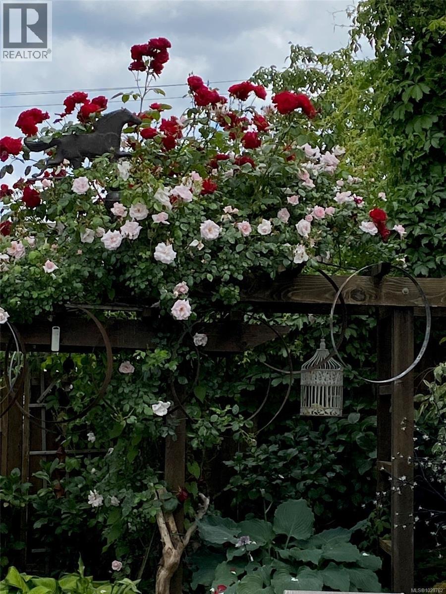 25 White St, Ladysmith, British Columbia  V9G 1B3 - Photo 56 - 1029762