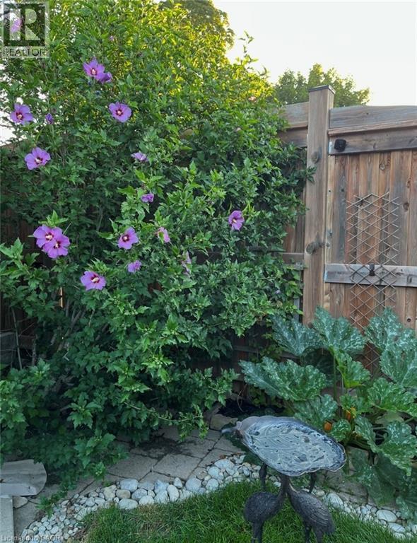 296 Weber Street E, Kitchener, Ontario  N2H 1G2 - Photo 35 - 40817554