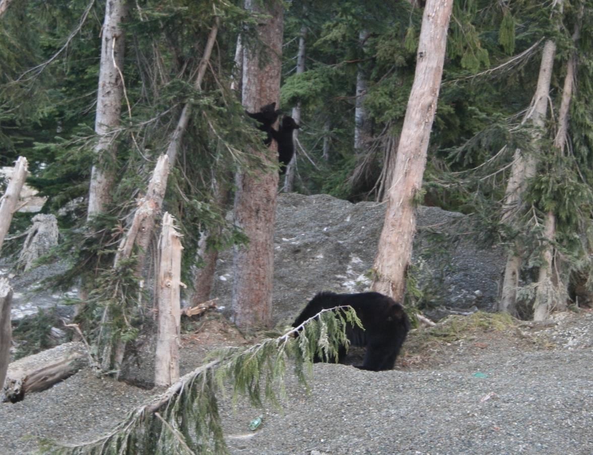 1 46891 Sawki Creek Road, Mission, British Columbia  V0M 1A1 - Photo 4 - R3105614