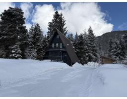 1 46891 SAWKI CREEK ROAD, Mission, British Columbia