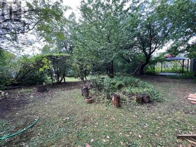 48 Connaught Avenue, Toronto, Ontario  M2M 1G8 - Photo 23 - C12956298