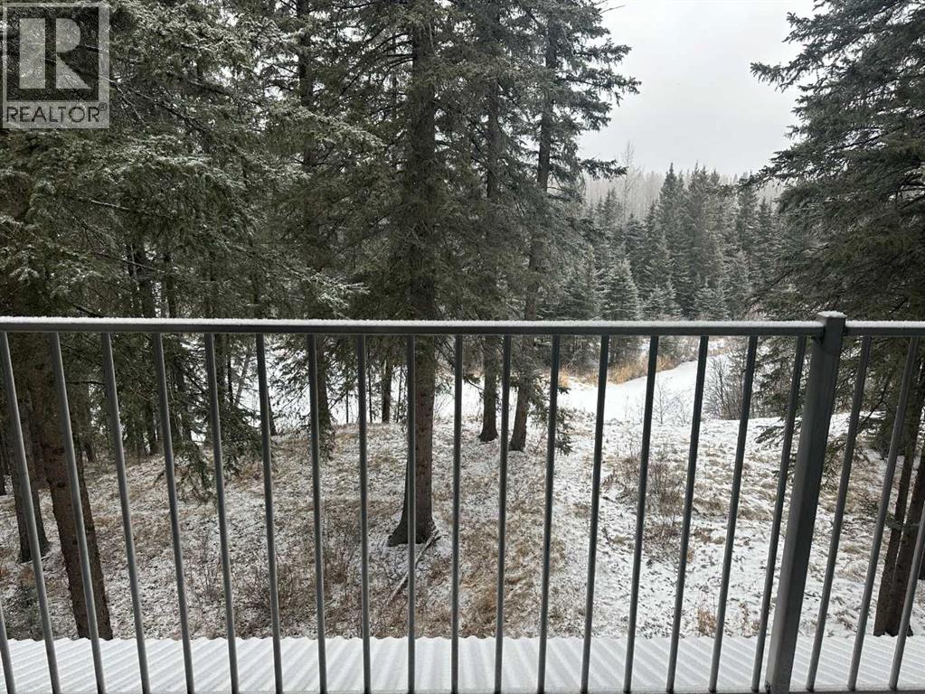 382060 Range Road 7-3, Rural Clearwater County, Alberta  T4T 2A2 - Photo 35 - A2297610