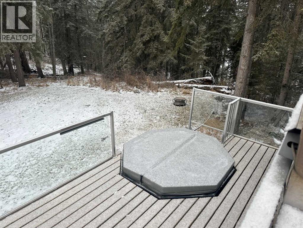 382060 Range Road 7-3, Rural Clearwater County, Alberta  T4T 2A2 - Photo 36 - A2297610