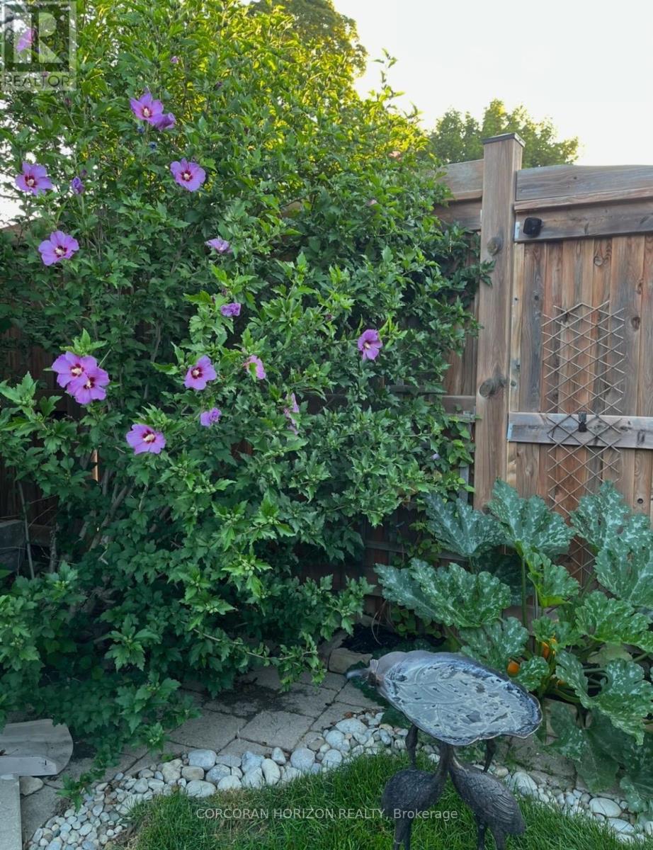 296 Weber Street E, Kitchener, Ontario  N2H 1G2 - Photo 35 - X12956290