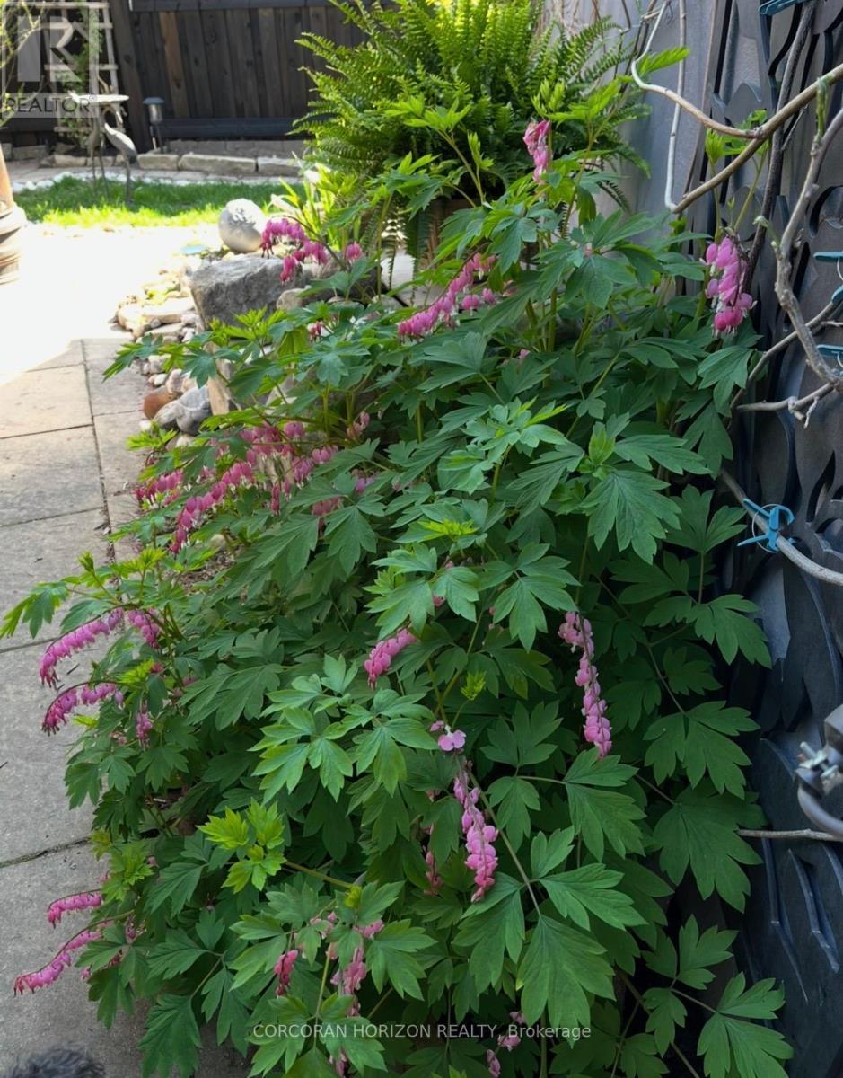 296 Weber Street E, Kitchener, Ontario  N2H 1G2 - Photo 37 - X12956290