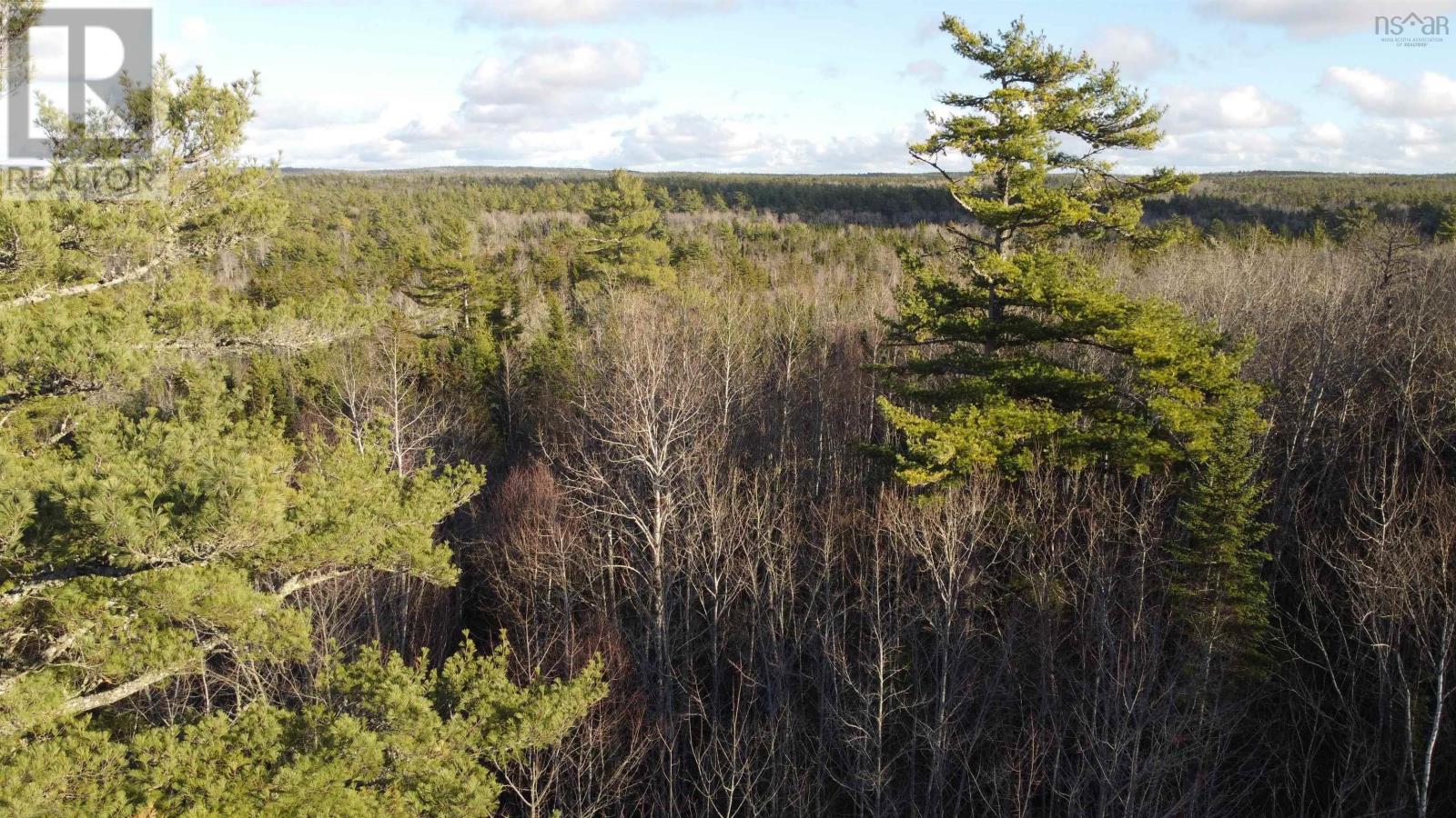 Lot 3 Highway 10, Albany, Nova Scotia  B0S 1P0 - Photo 10 - 202606307