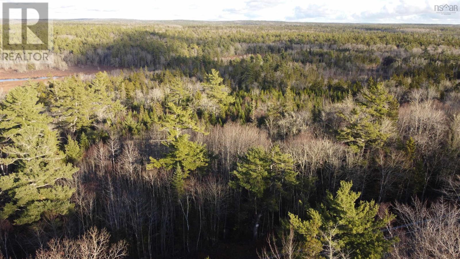 Lot 3 Highway 10, Albany, Nova Scotia  B0S 1P0 - Photo 3 - 202606307