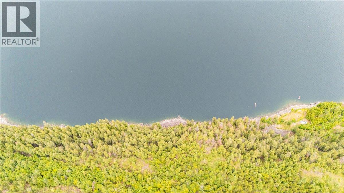 Lower Arrow Lake Lot# 5, Castlegar, British Columbia  V1N 3H9 - Photo 27 - 10353636