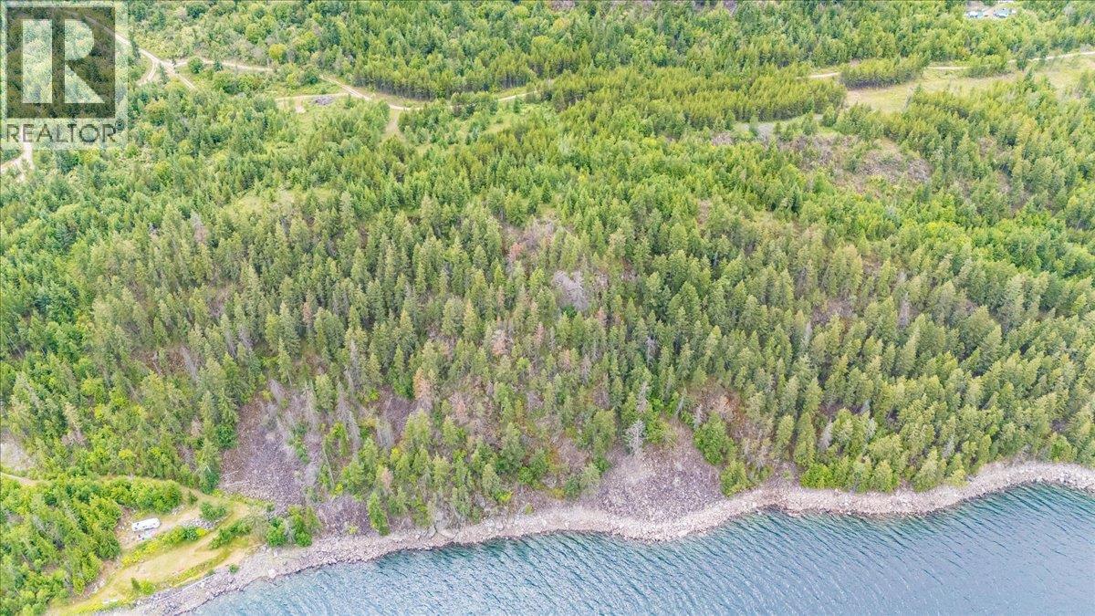 Lower Arrow Lake Lot# 5, Castlegar, British Columbia  V1N 3H9 - Photo 5 - 10353636