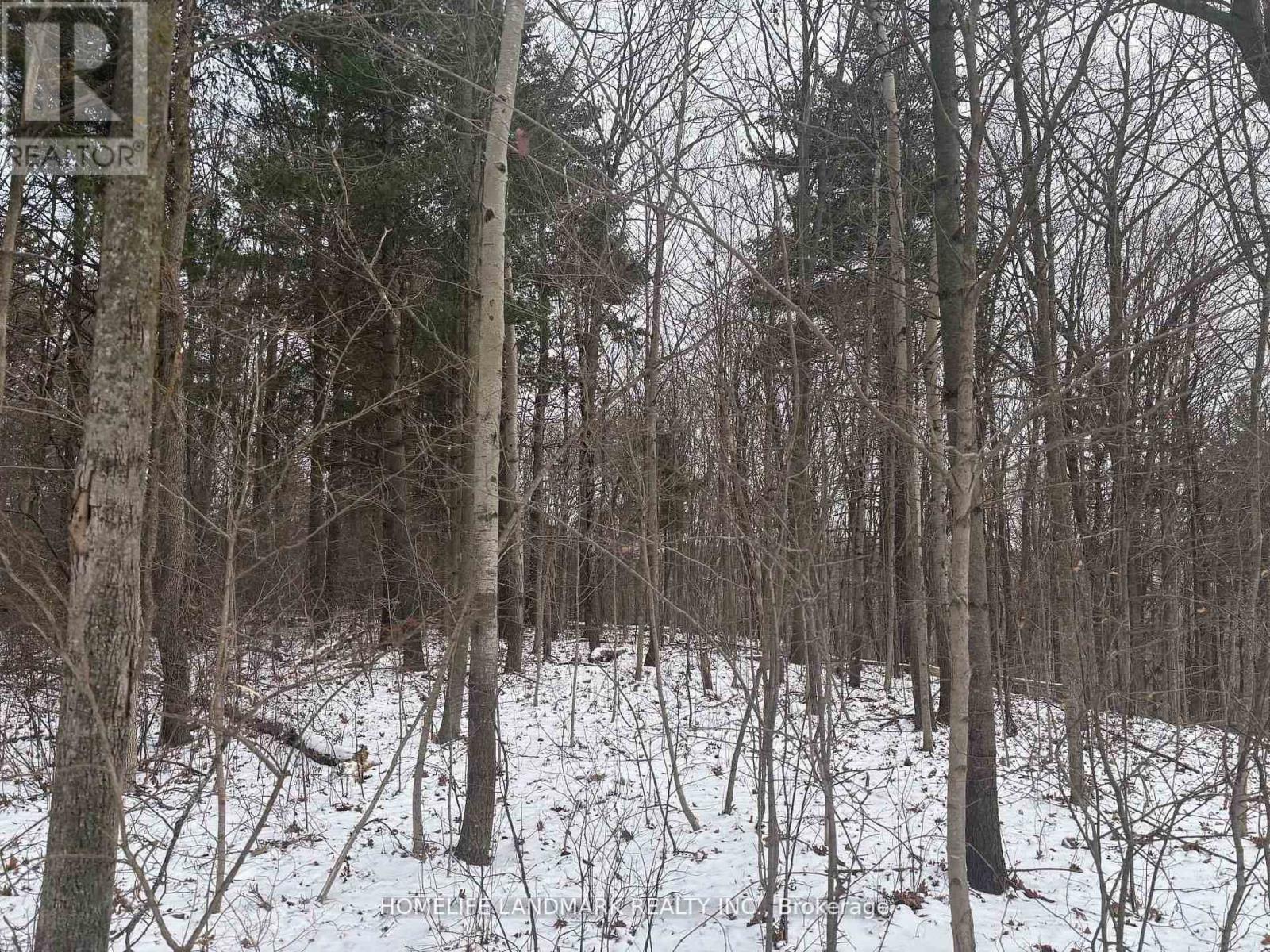 LT 45 CON 7 EBR LINDSAY, Northern Bruce Peninsula, Ontario