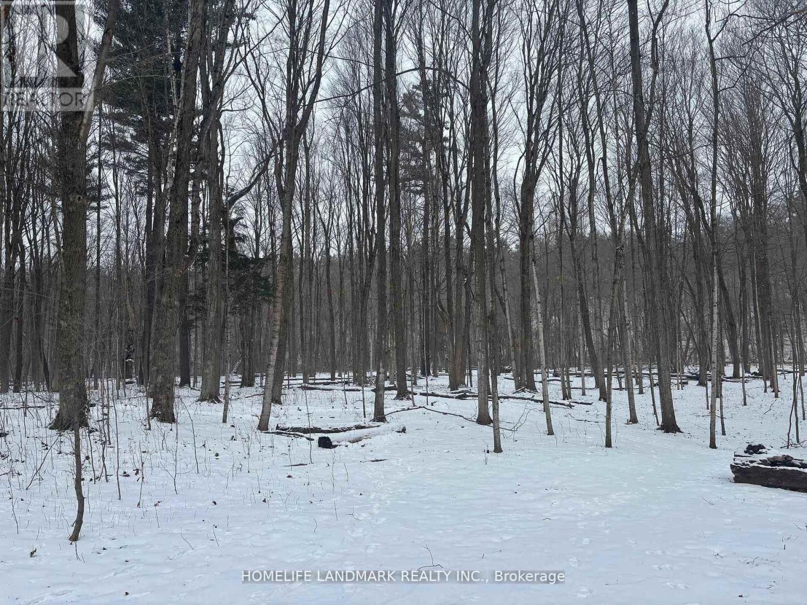 Lt 45 Con 7 Ebr Lindsay, Northern Bruce Peninsula, Ontario  N0H 1Z0 - Photo 2 - X12956310