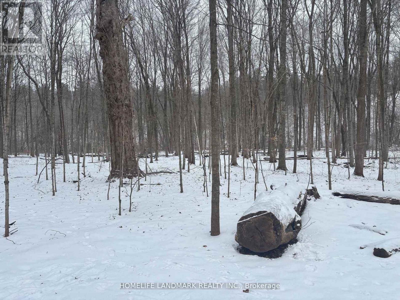 Lt 45 Con 7 Ebr Lindsay, Northern Bruce Peninsula, Ontario  N0H 1Z0 - Photo 3 - X12956310