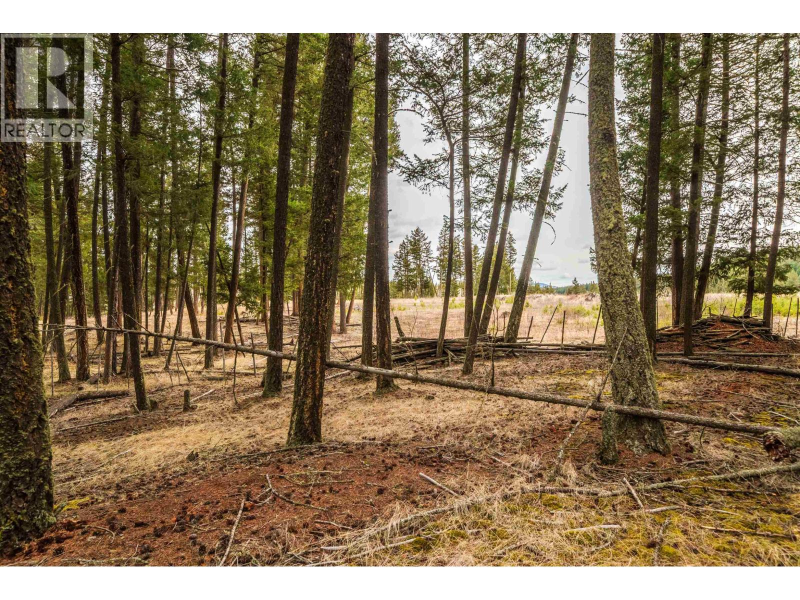 Lot 2 Lac La Hache Station Road, Lac La Hache, British Columbia  V0K 1T0 - Photo 11 - R3106914