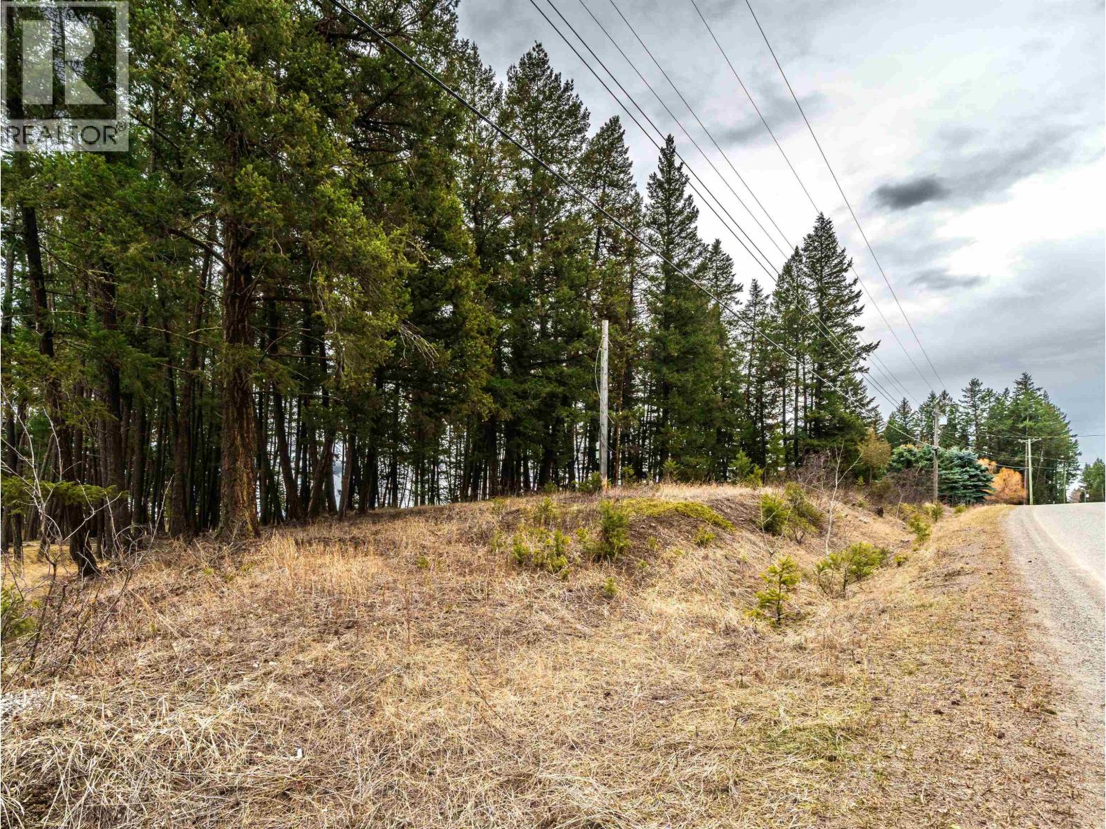 Lot 2 Lac La Hache Station Road, Lac La Hache, British Columbia  V0K 1T0 - Photo 7 - R3106914