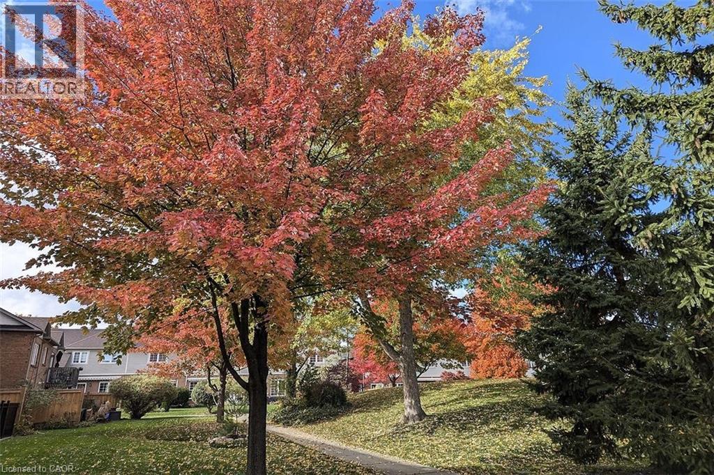 100 Beddoe Drive Unit# 98, Hamilton, Ontario  L8P 4Z2 - Photo 38 - 40808517