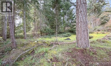 Lot 13 Easthom Rd, Gabriola Island, British Columbia  V0R 1X2 - Photo 11 - 1030977