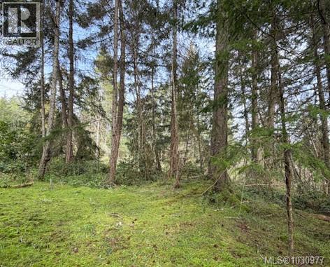 Lot 13 Easthom Rd, Gabriola Island, British Columbia  V0R 1X2 - Photo 13 - 1030977