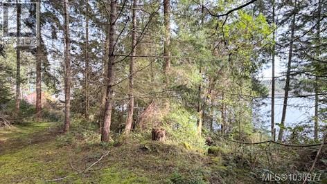 Lot 13 Easthom Rd, Gabriola Island, British Columbia  V0R 1X2 - Photo 7 - 1030977