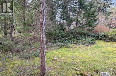 Lot 13 Easthom Rd, Gabriola Island, British Columbia  V0R 1X2 - Photo 8 - 1030977