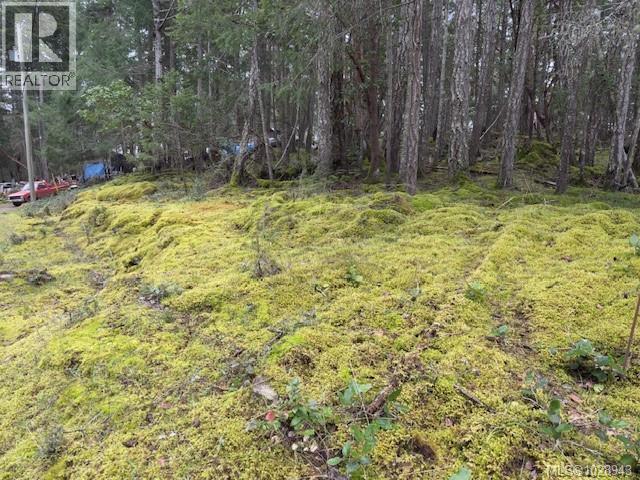 106 Halibut Hill Rd, Mudge Island, British Columbia  V0R 1X6 - Photo 11 - 1028943