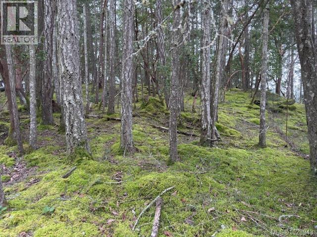 106 Halibut Hill Rd, Mudge Island, British Columbia  V0R 1X6 - Photo 9 - 1028943