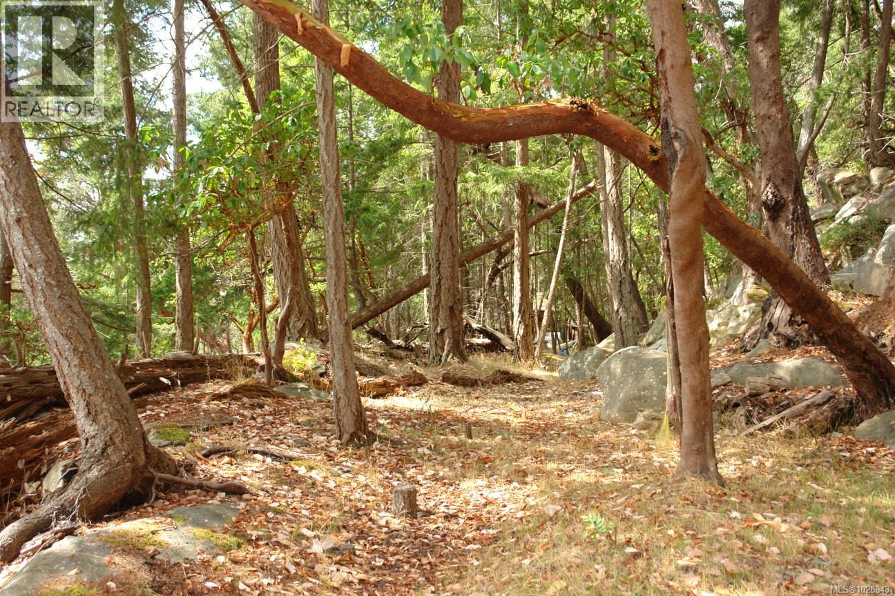 106 Halibut Hill Rd, Mudge Island, British Columbia  V0R 1X6 - Photo 7 - 1028943