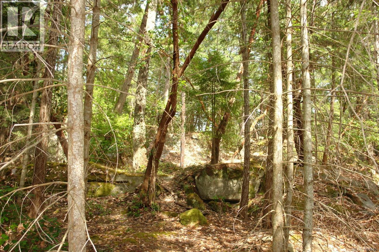 106 Halibut Hill Rd, Mudge Island, British Columbia  V0R 1X6 - Photo 4 - 1028943