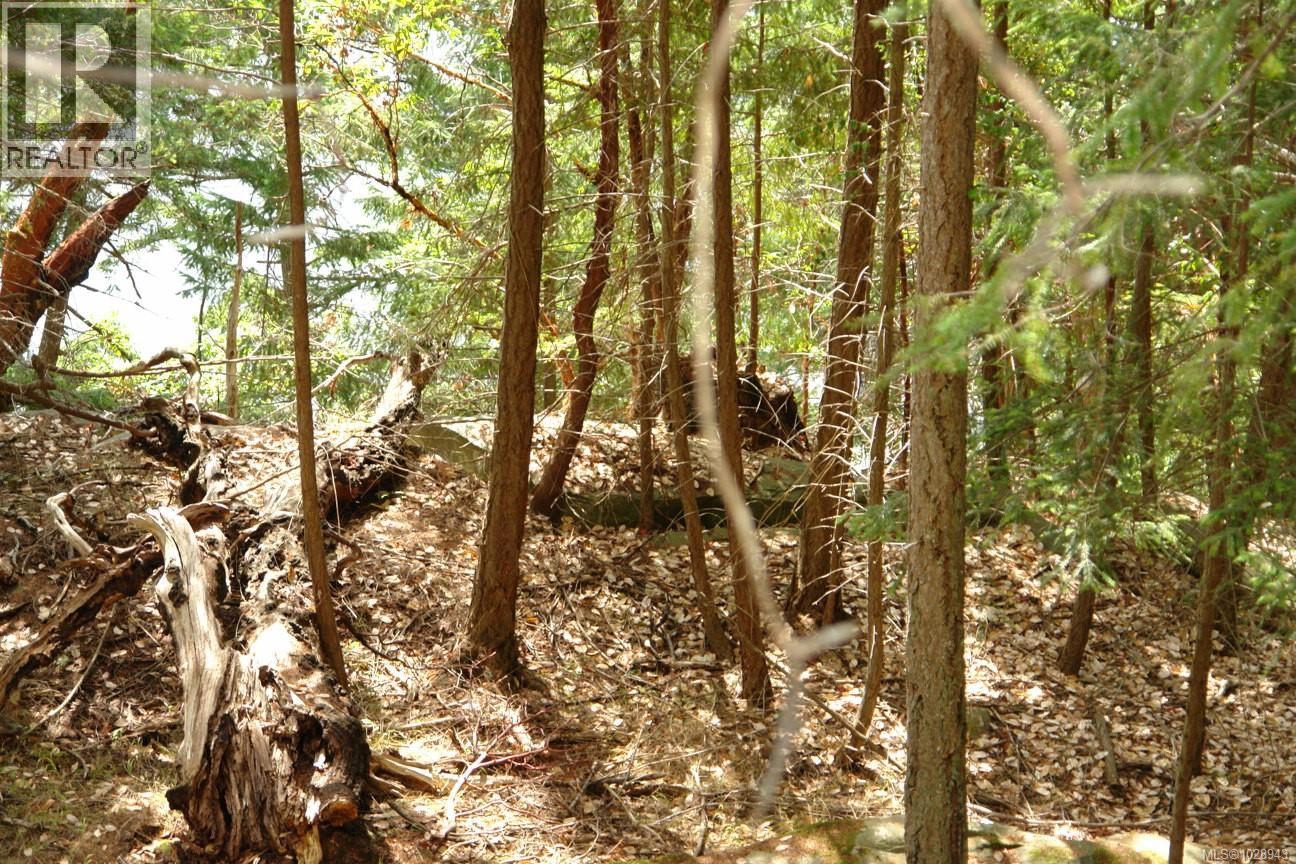 106 Halibut Hill Rd, Mudge Island, British Columbia  V0R 1X6 - Photo 6 - 1028943