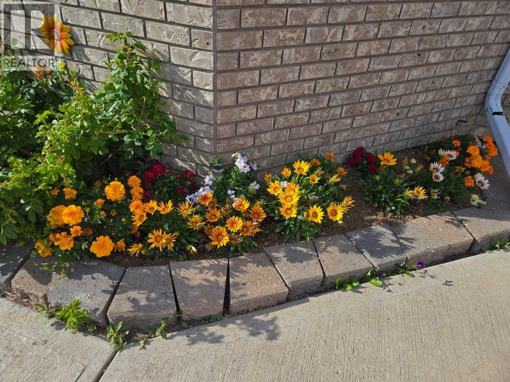 1310 23 Avenue, Didsbury, Alberta  T0M 0W0 - Photo 35 - A2287320