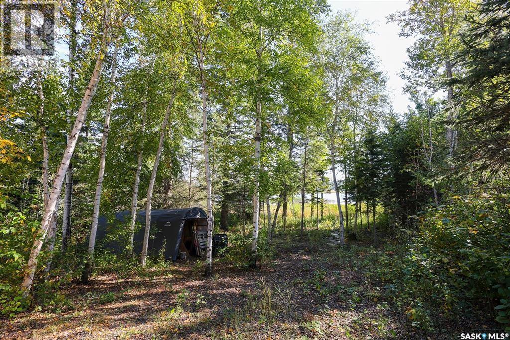 1305 Laurie Place, Paddockwood Rm No. 520, Saskatchewan  S0J 0N0 - Photo 9 - SK032061