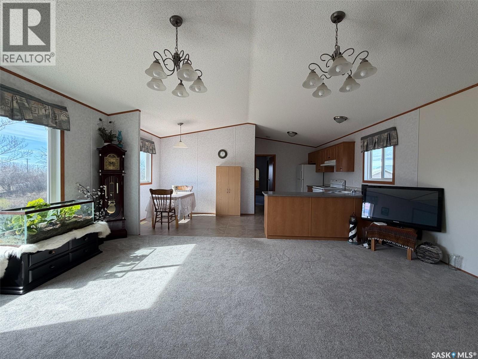 213 - 217 2nd Street W, Climax, Saskatchewan  S0N 0N0 - Photo 10 - SK032060