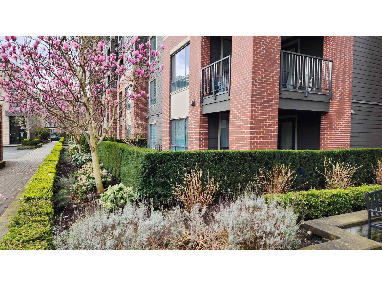 102 33540 Mayfair Avenue, Abbotsford, British Columbia  V2S 0J3 - Photo 5 - R3106846