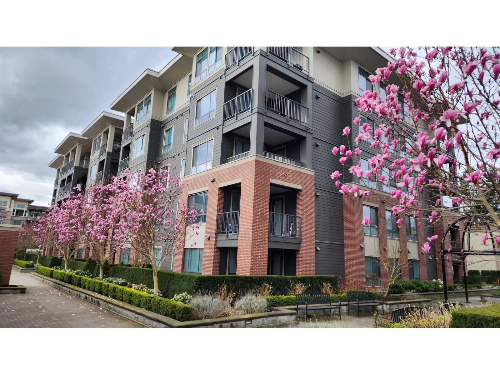 102 33540 Mayfair Avenue, Abbotsford, British Columbia  V2S 0J3 - Photo 4 - R3106846