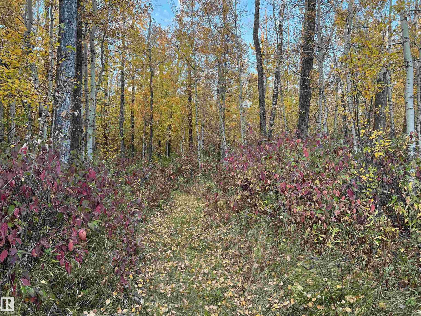 #146 54150 Rge Road 224, Rural Strathcona County, Alberta  T8L 3Y5 - Photo 40 - E4480561