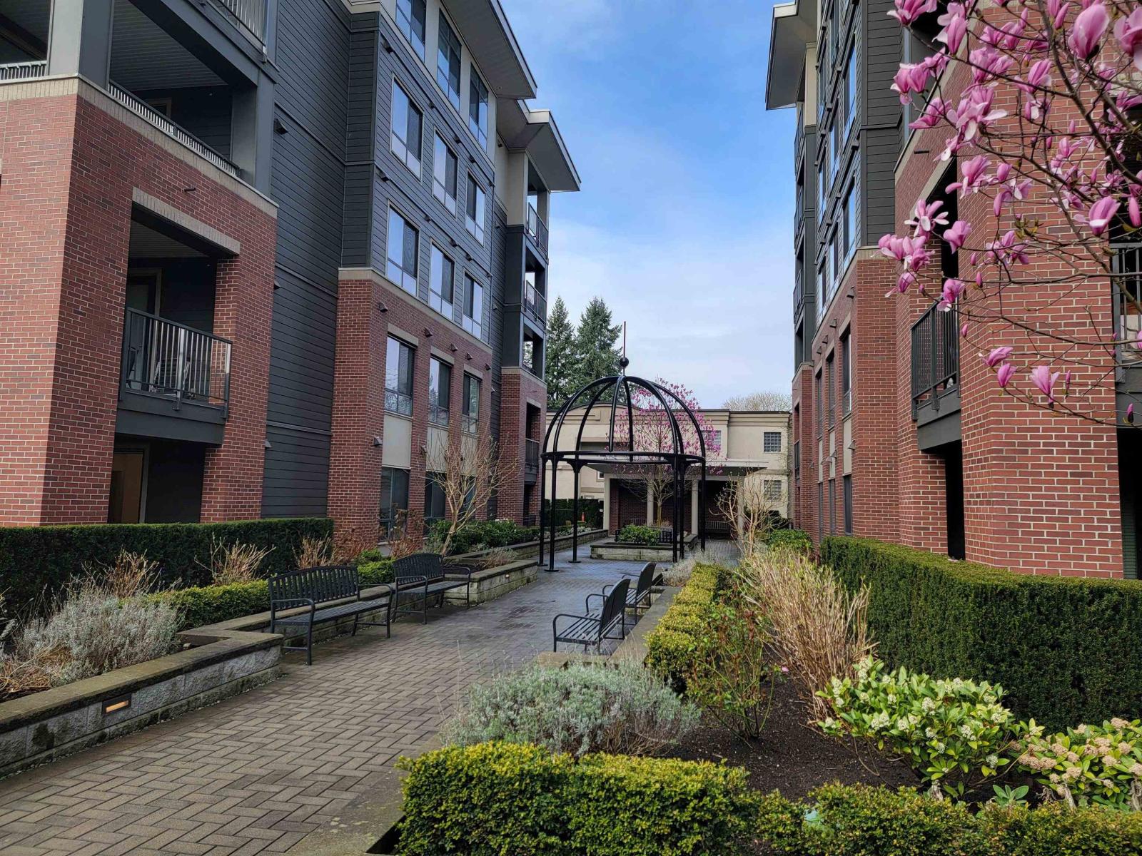 102 33540 Mayfair Avenue, Abbotsford, British Columbia  V2S 0J3 - Photo 2 - R3106846