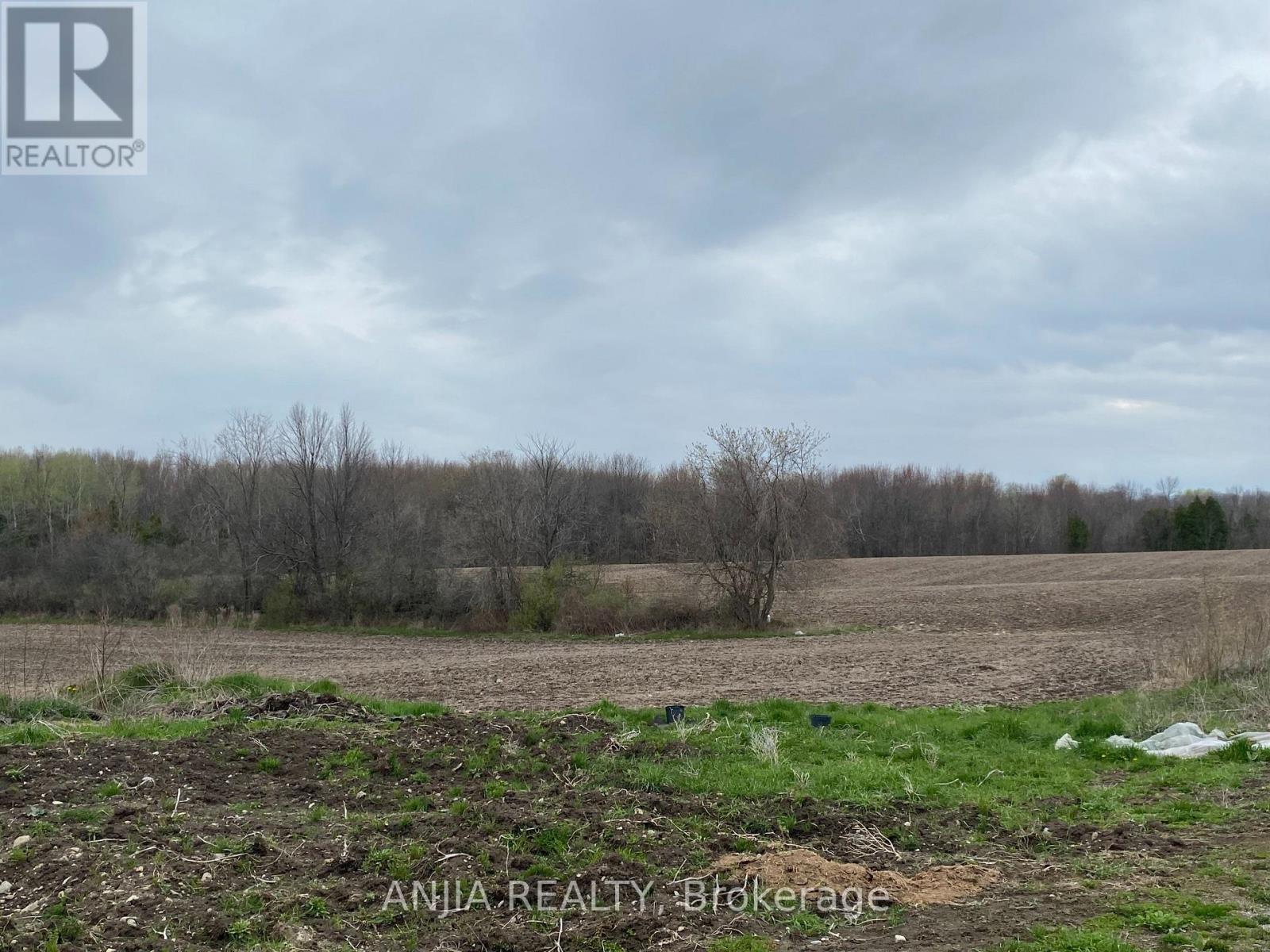 191 Long Beach Road, Kawartha Lakes, Ontario K0M 1G0 - Photo 11 - X12956416