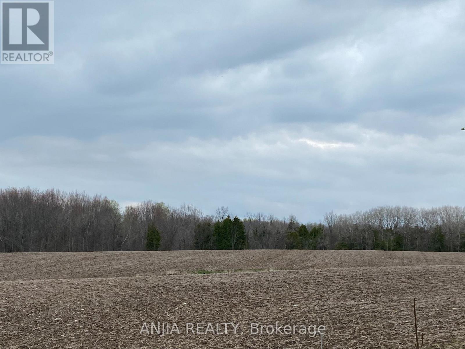 191 Long Beach Road, Kawartha Lakes, Ontario K0M 1G0 - Photo 12 - X12956416