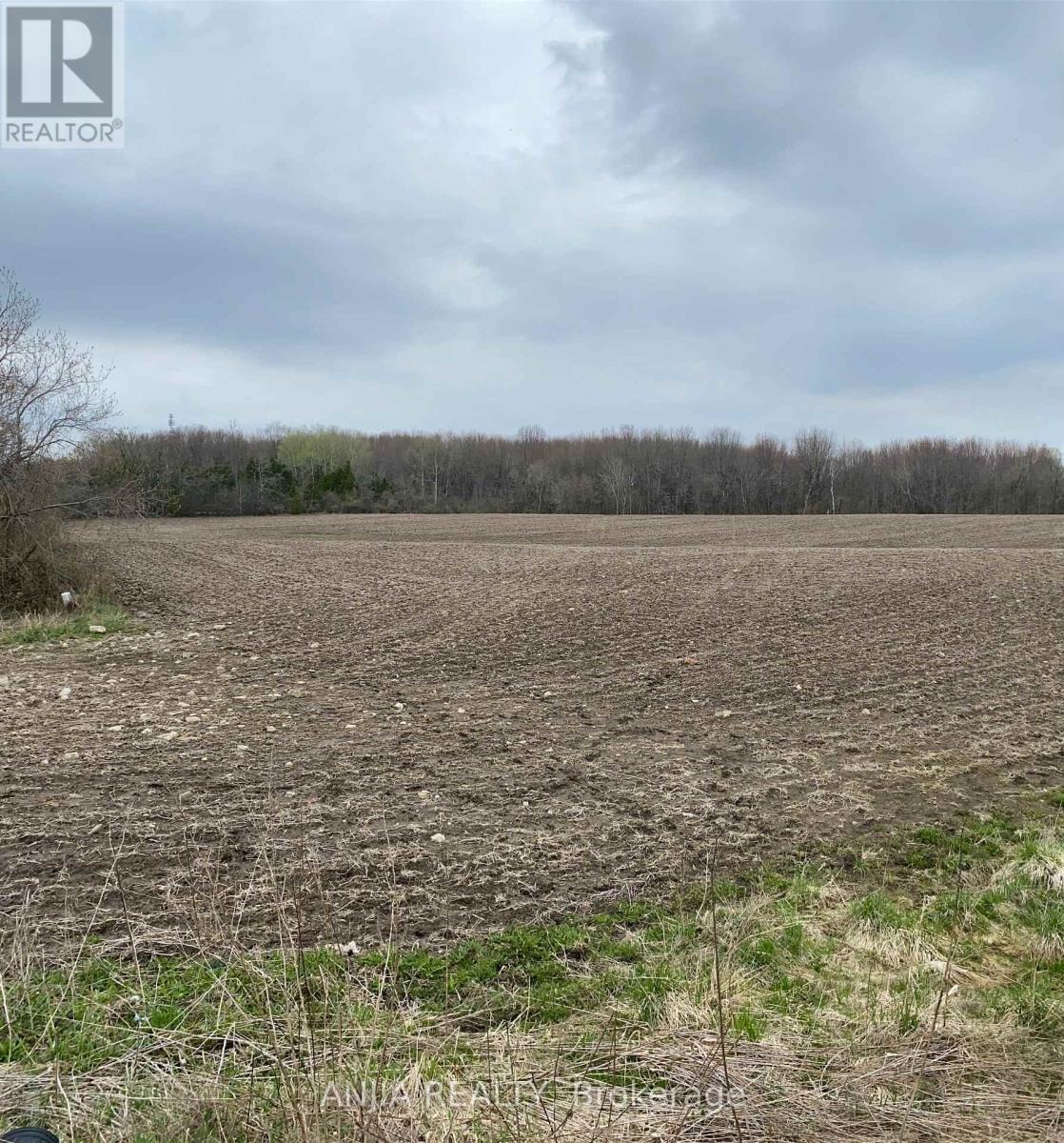 191 Long Beach Road, Kawartha Lakes, Ontario K0M 1G0 - Photo 14 - X12956416