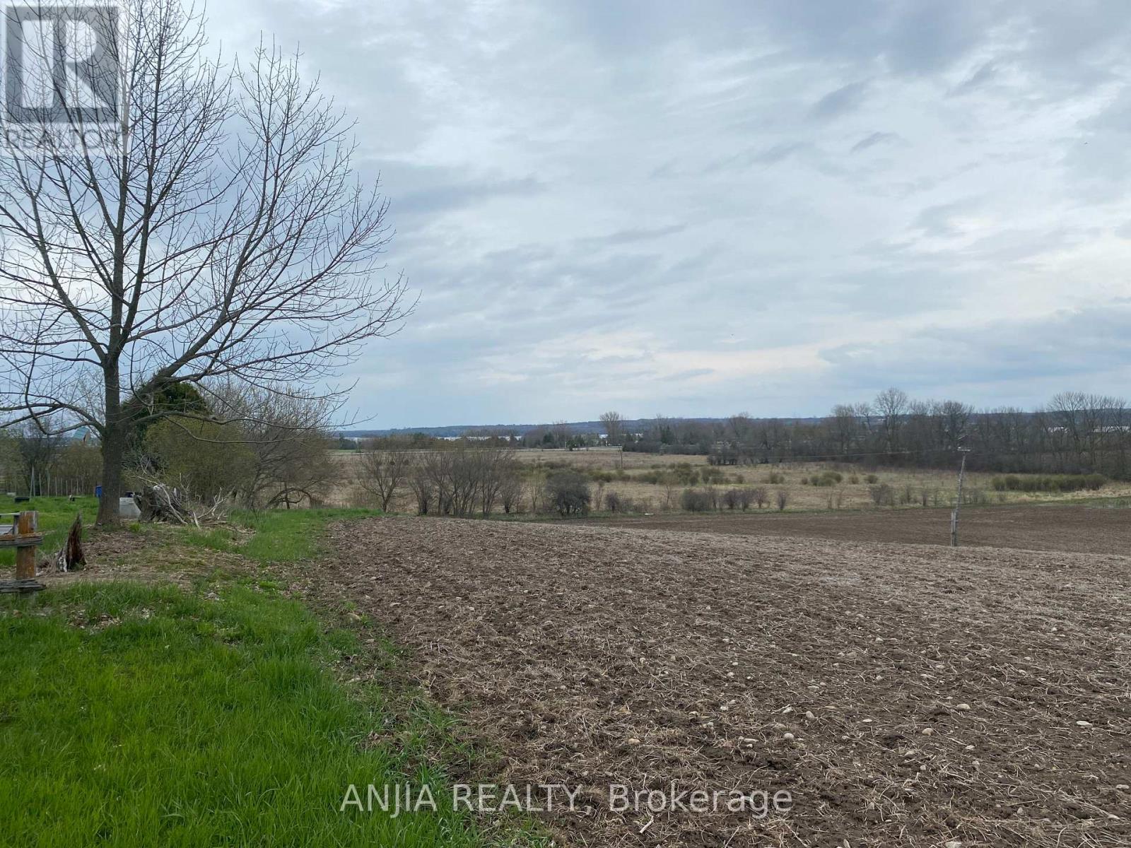 191 Long Beach Road, Kawartha Lakes, Ontario K0M 1G0 - Photo 6 - X12956416