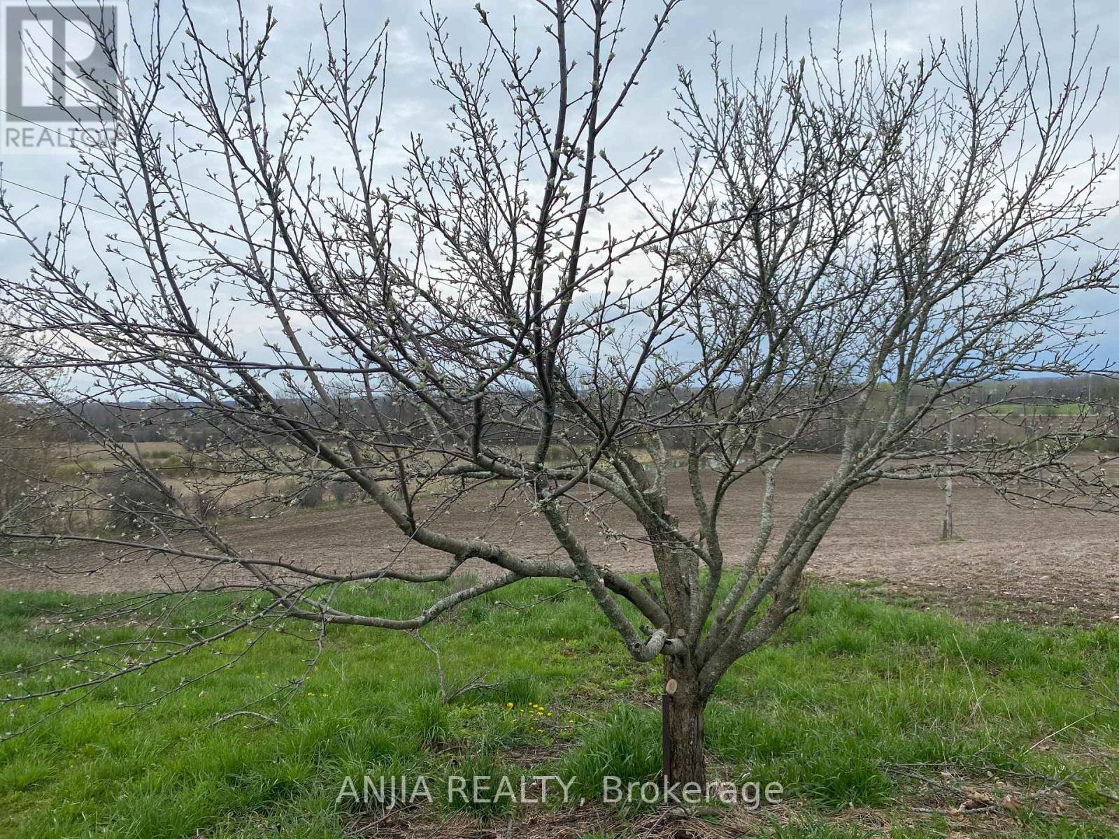 191 Long Beach Road, Kawartha Lakes, Ontario K0M 1G0 - Photo 7 - X12956416