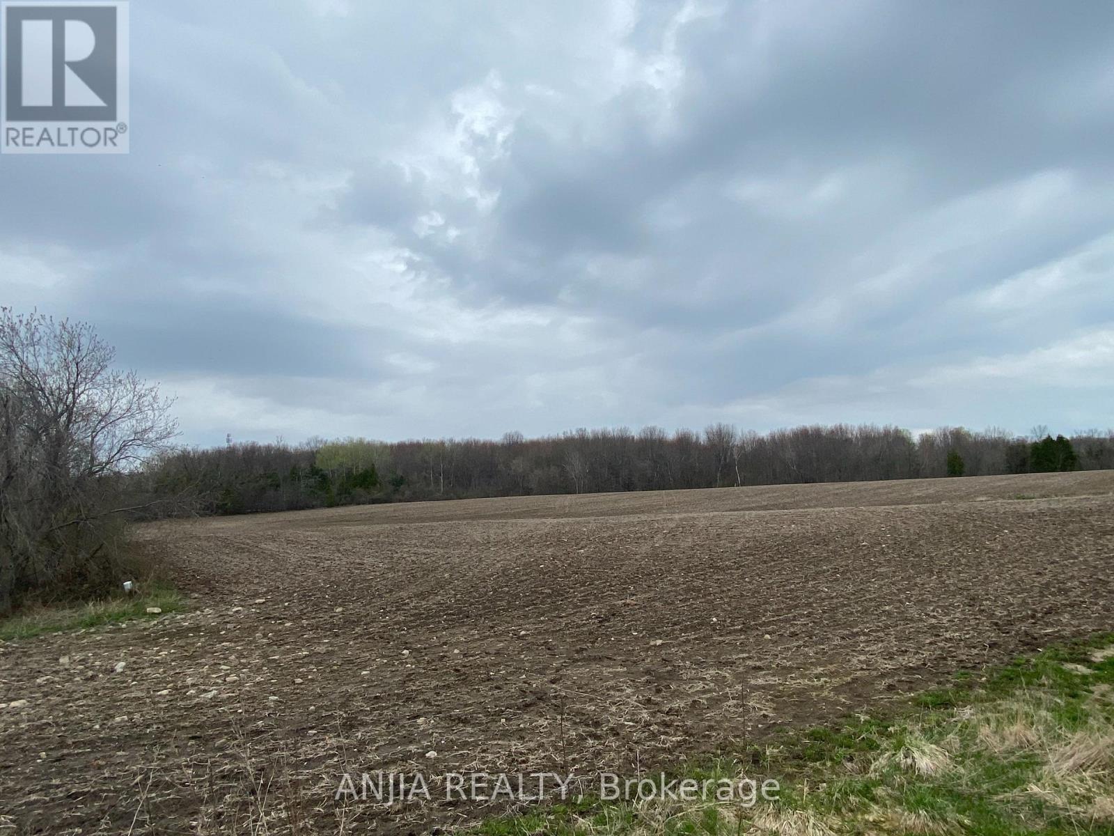 191 Long Beach Road, Kawartha Lakes, Ontario  K0M 1G0 - Photo 18 - X12956428