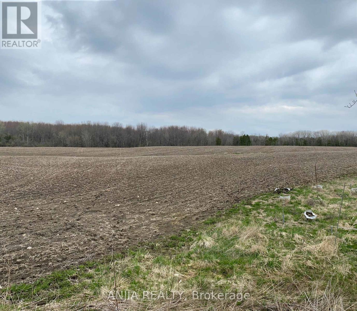 191 Long Beach Road, Kawartha Lakes, Ontario  K0M 1G0 - Photo 20 - X12956428